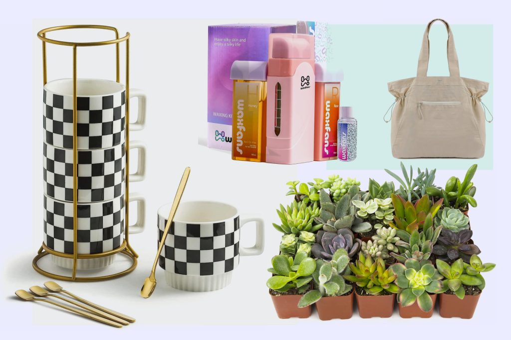 tea cups, plants and a bag gift ideas for sister and sister in law
